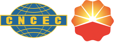 四川晟达logo最终版